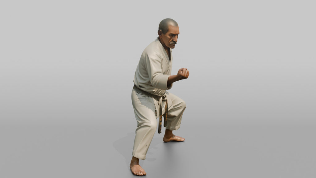 Karate Master Cat Stance
