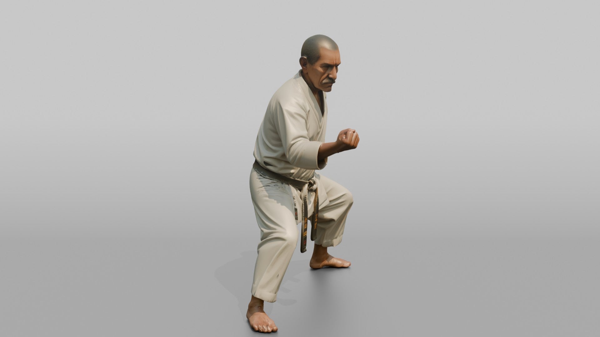 Karate Master Cat Stance