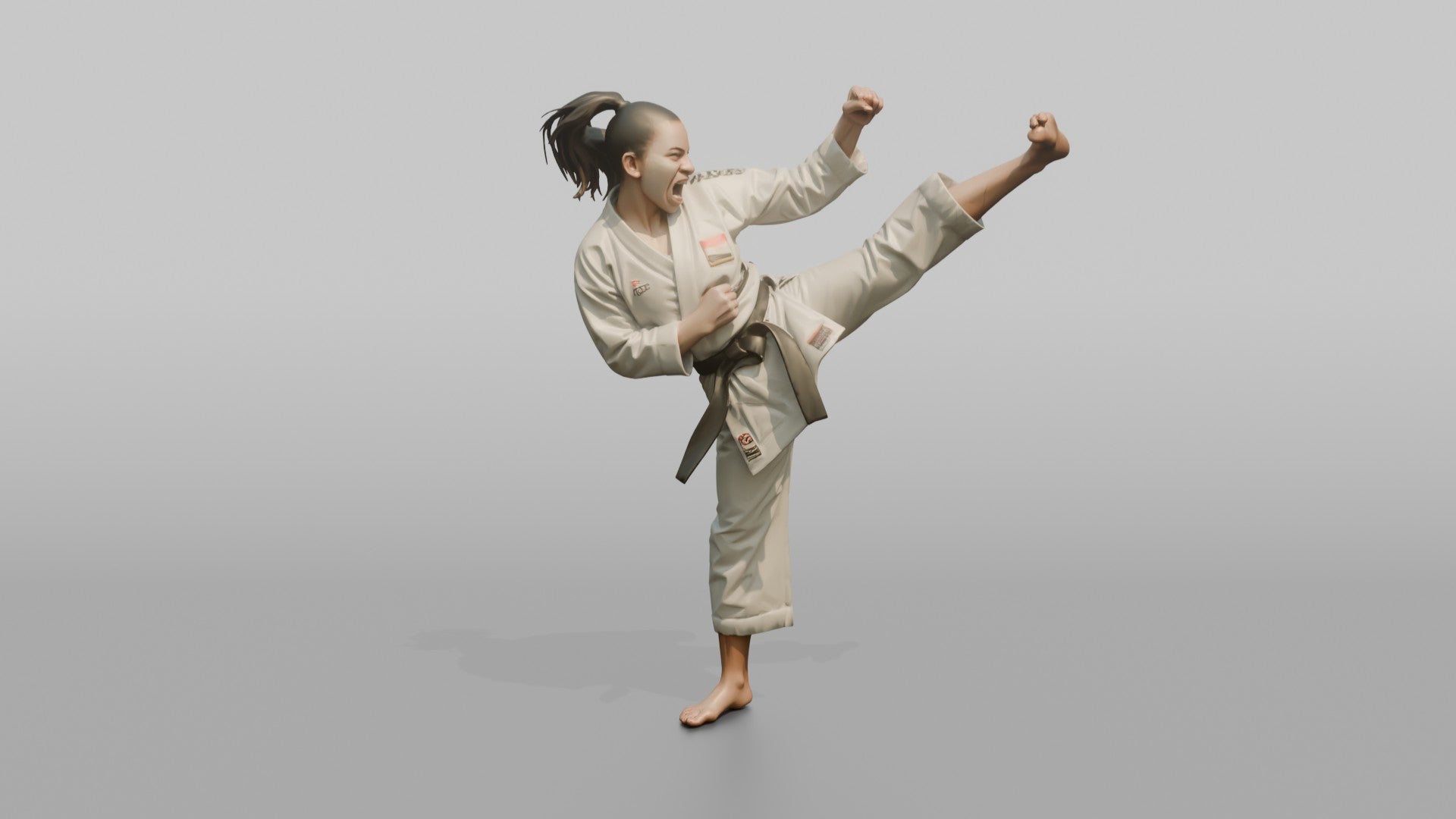 Karate Fighter High Snap Kick