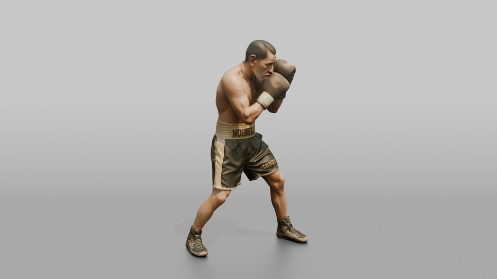 Boxer Tight High-guard Defense Position