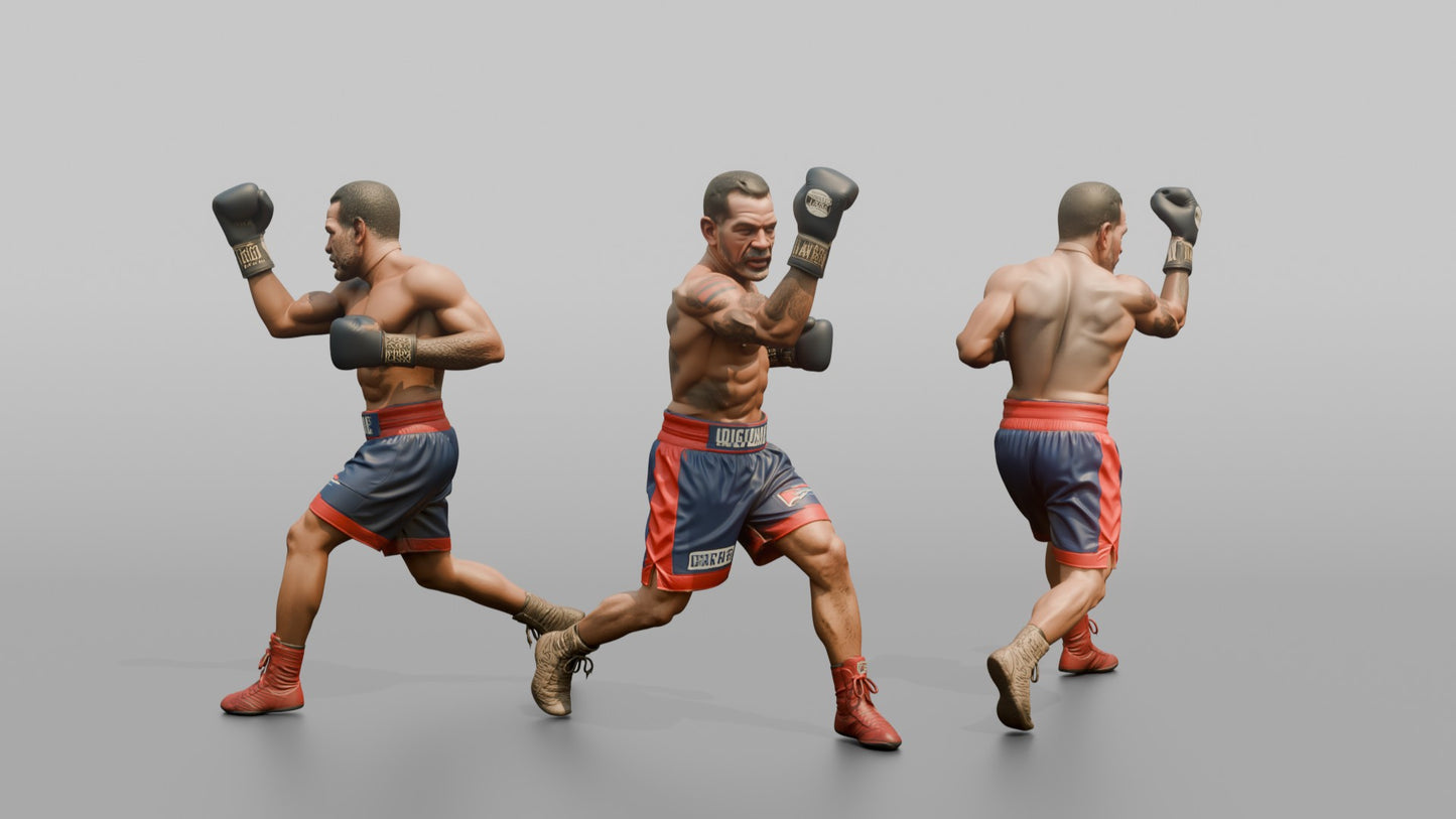 Boxer Sharp Uppercut