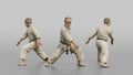 Karate Sensei Authoritative Downward Open-palm Block