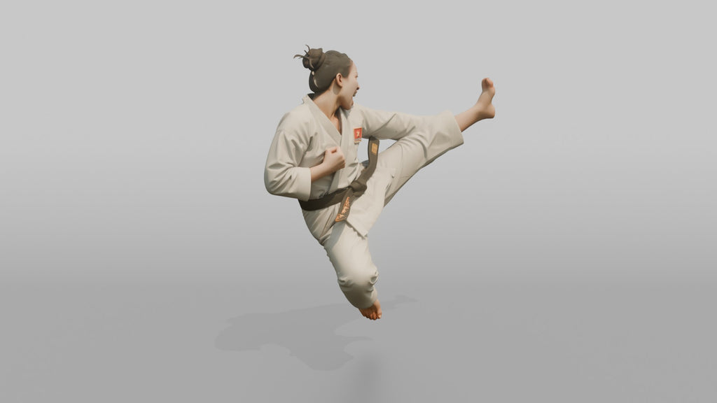 Karate Fighter Double Front Kick
