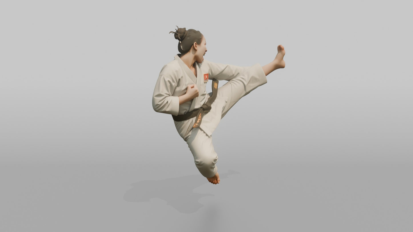 Karate Fighter Double Front Kick