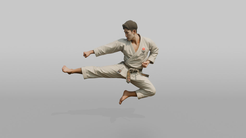 Karate Master Sharp Mid-air Flying Side Kick