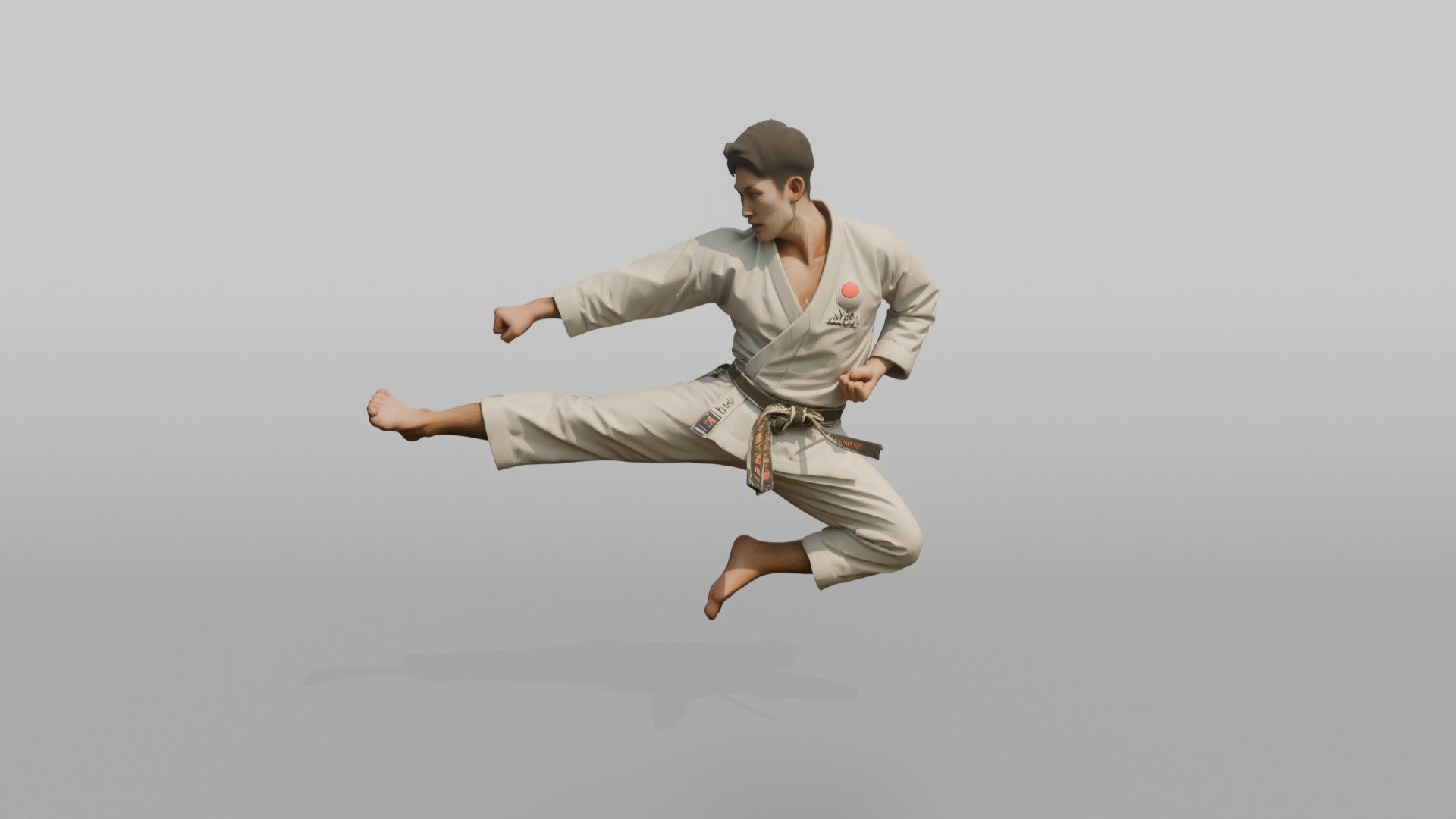 Karate Master Sharp Mid-air Flying Side Kick
