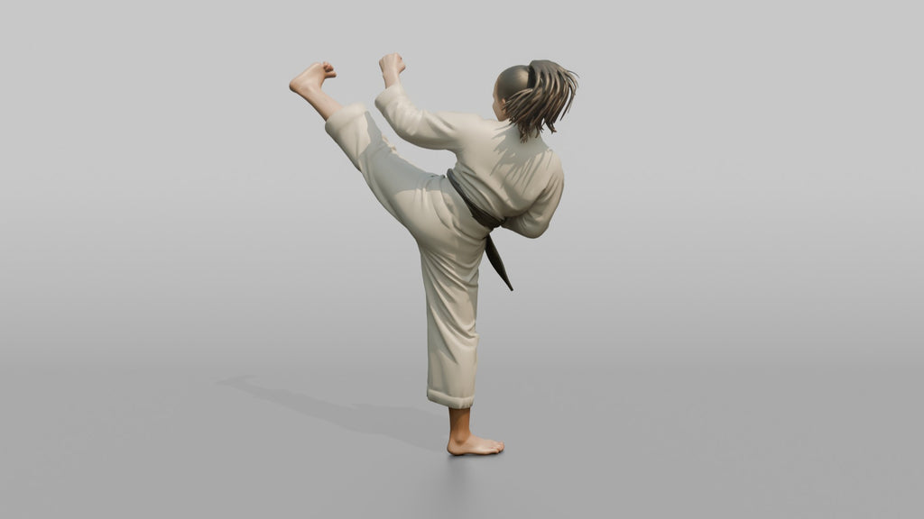 Karate Fighter High Snap Kick