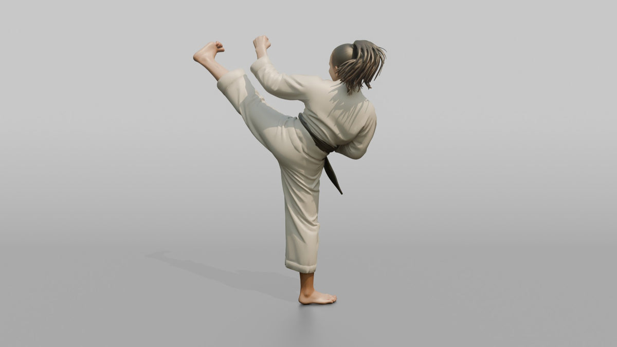 Karate Fighter High Snap Kick - 3D character model, view 3