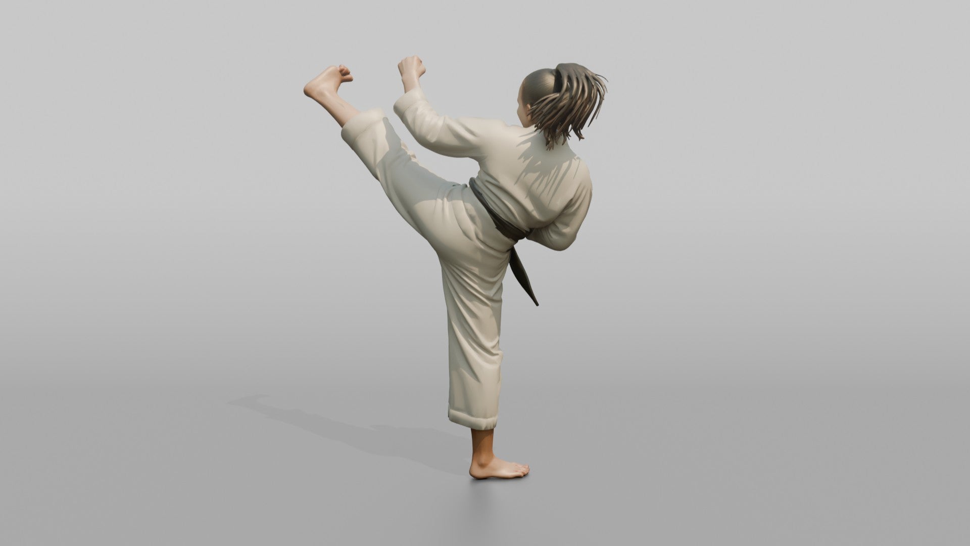 Karate Fighter High Snap Kick