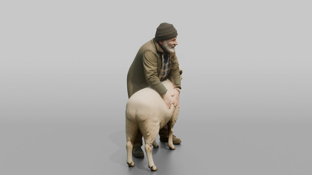 Farmer Checking Sheep's Wool Density