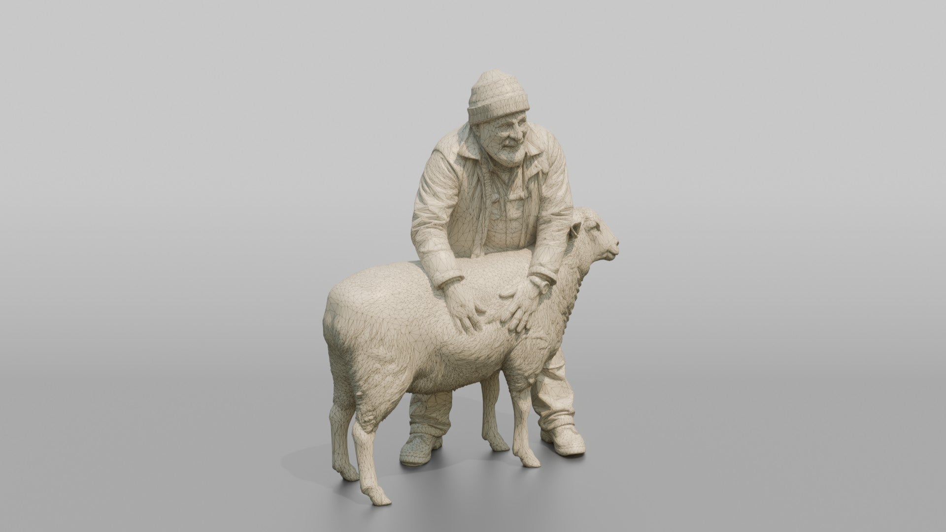 Farmer Checking Sheep's Wool Density
