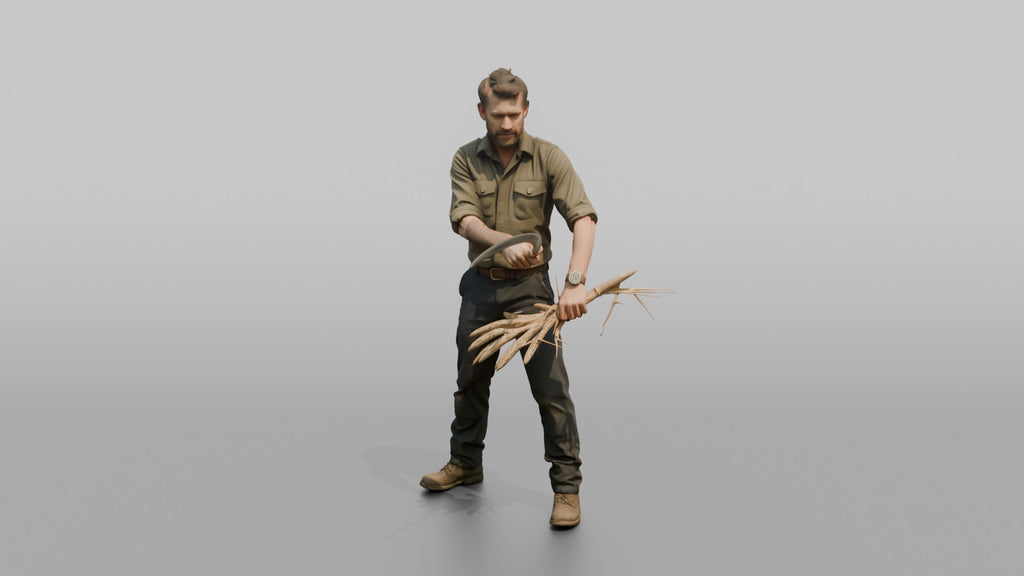 Farmer Slicing Wheat Stalks Hand Sickle