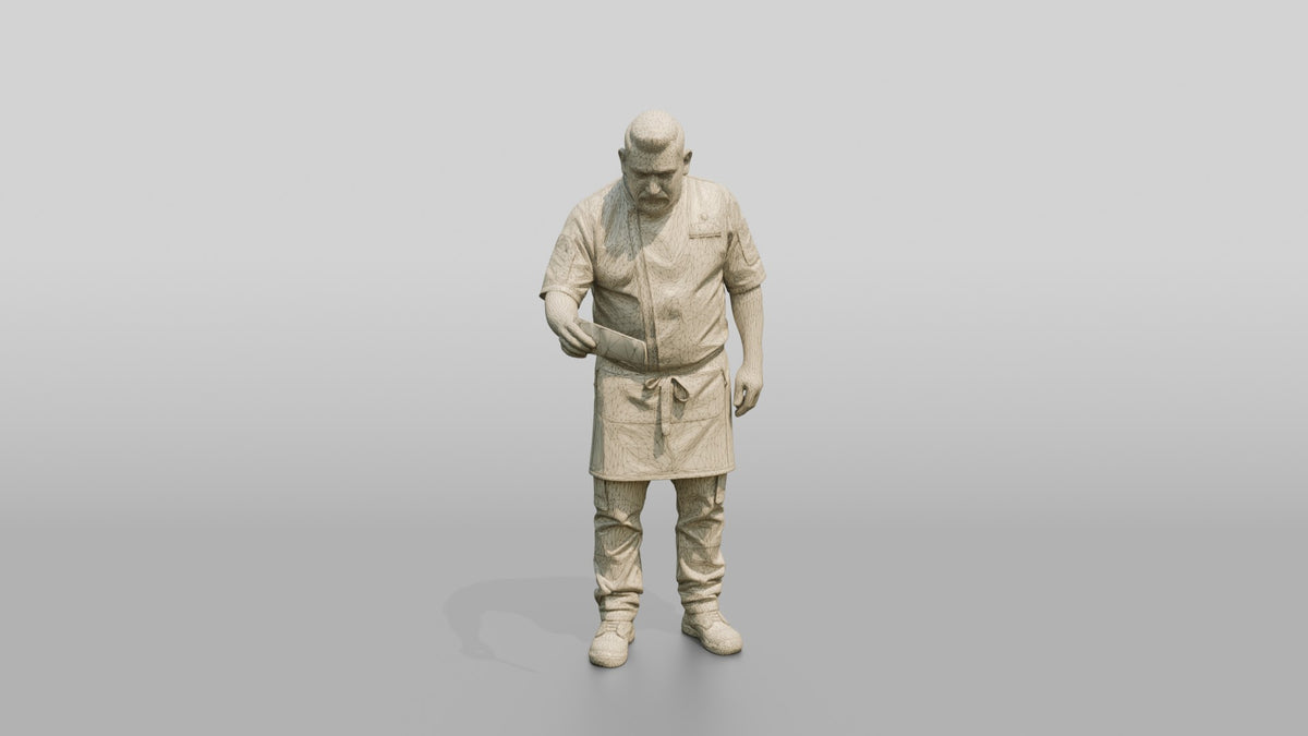 Head Chef Inspecting a Plated Meal - wireframe topology preview