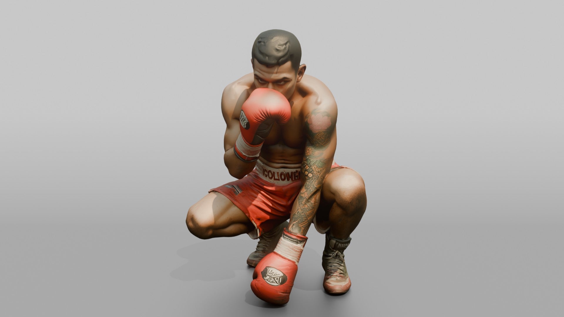 Boxer Peek-a-boo Defensive Guard