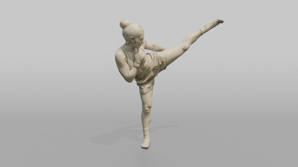 Kickboxer High Spinning Back Kick