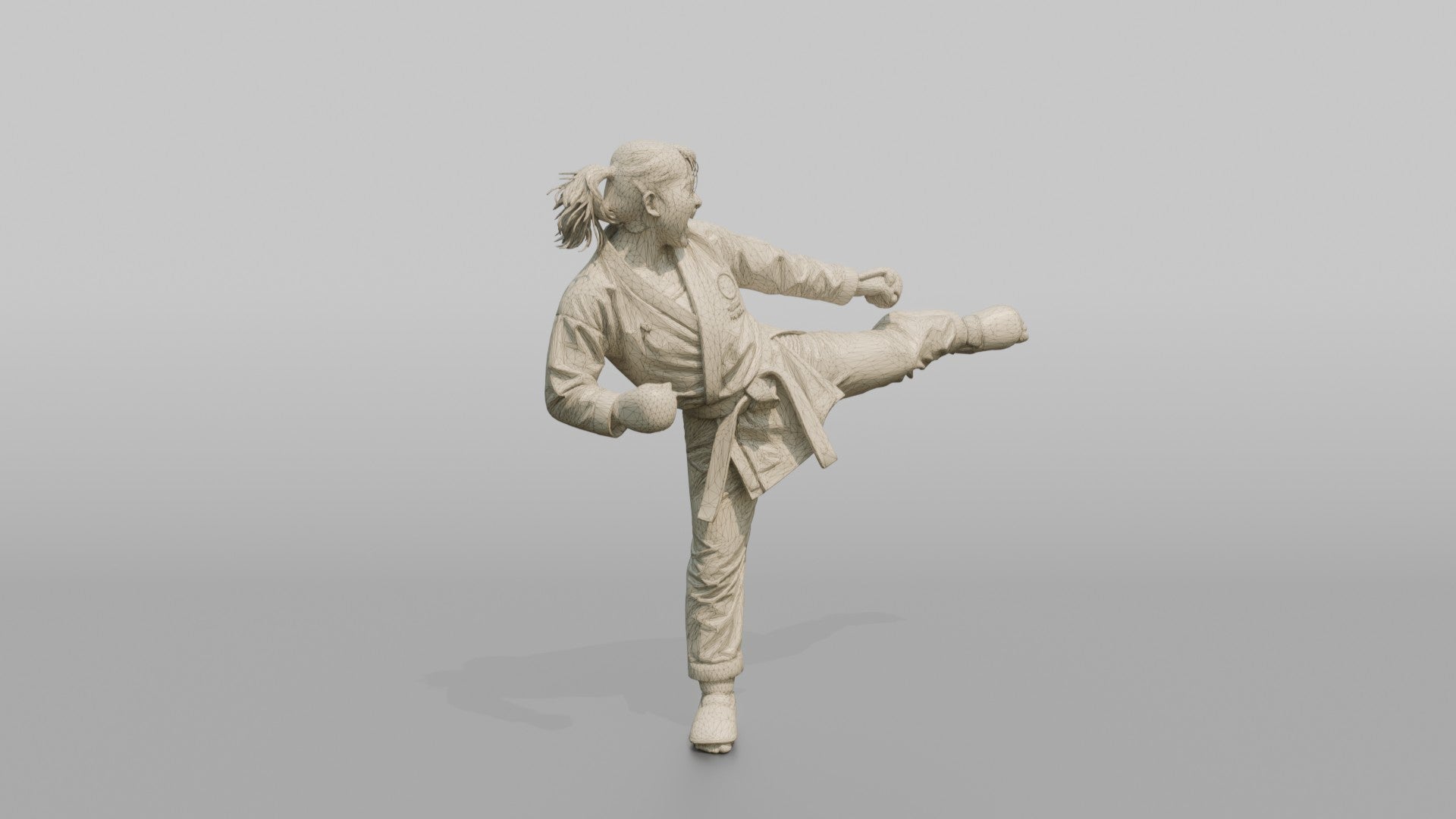 Karate Fighter Explosive Roundhouse Kick to the Torso