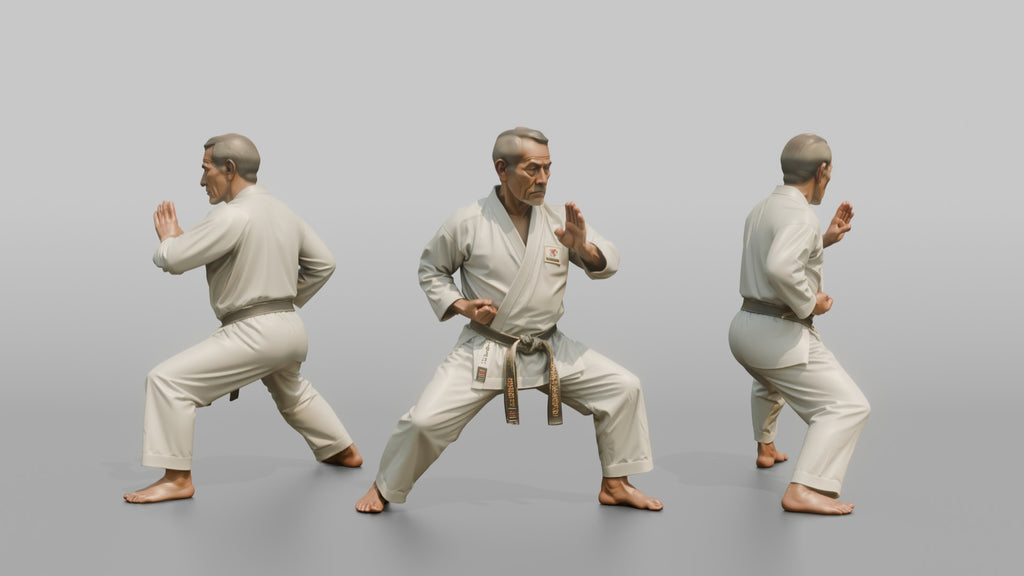 Karate Master Knife-Hand Block