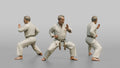 Karate Master Knife-Hand Block