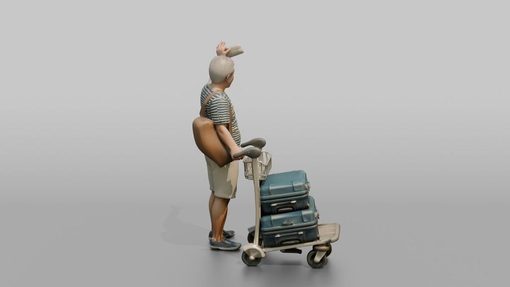 Traveler Waving His Boarding Pass