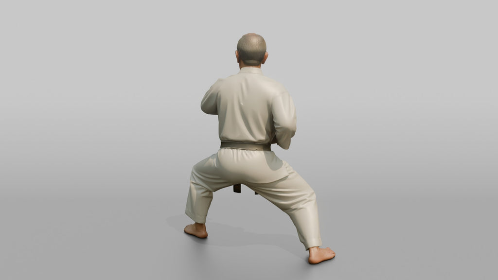 Karate Master Knife-Hand Block