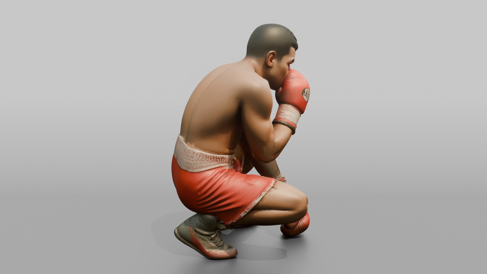 Boxer Peek-a-boo Defensive Guard