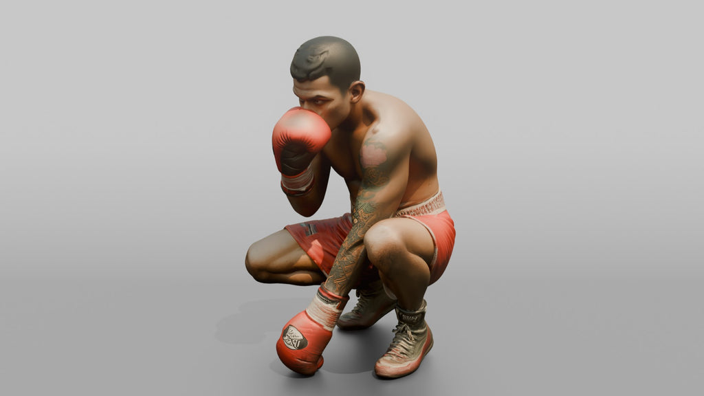 Boxer Peek-a-boo Defensive Guard
