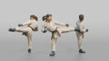 Karate Fighter Explosive Roundhouse Kick to the Torso