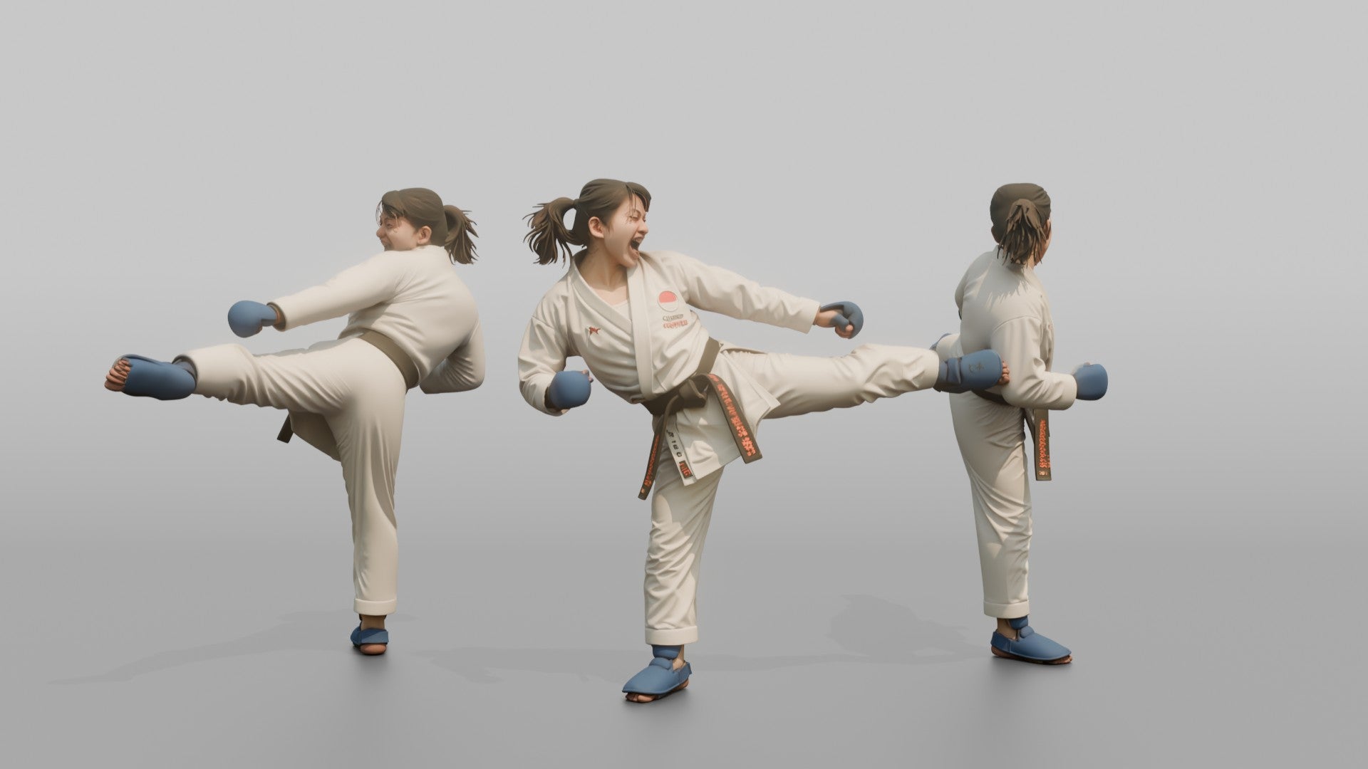 Karate Fighter Explosive Roundhouse Kick to the Torso