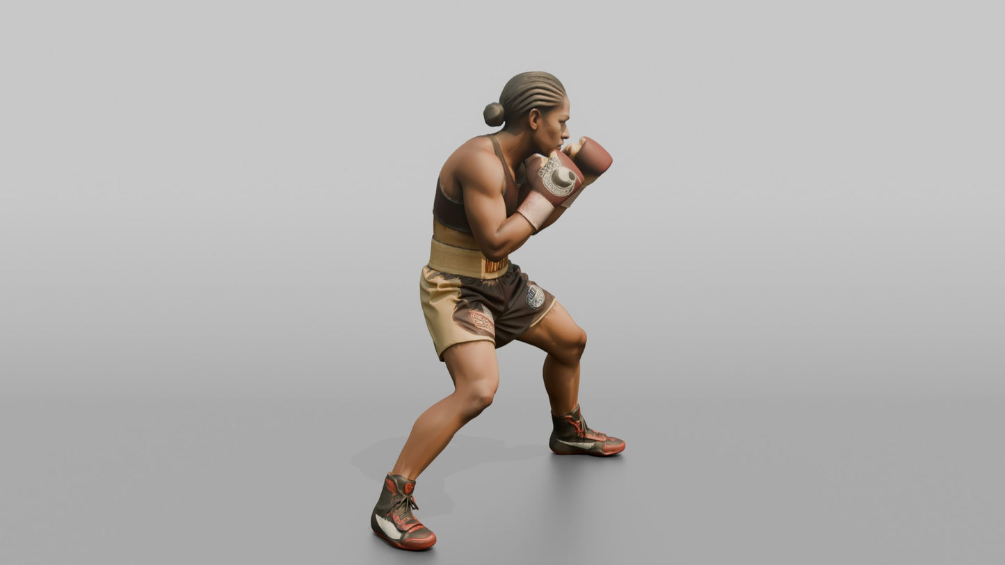 Boxer Heavy Body Hook