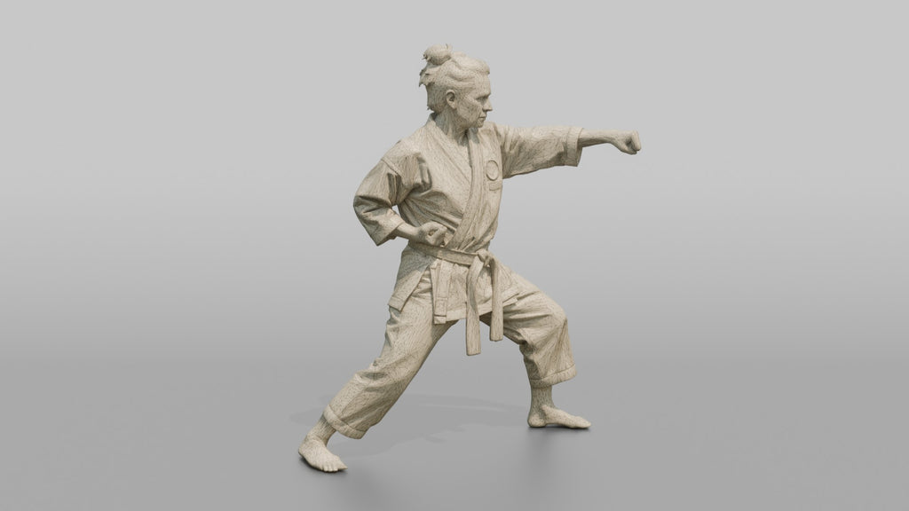 Karate Sensei Explosive Reverse Punch