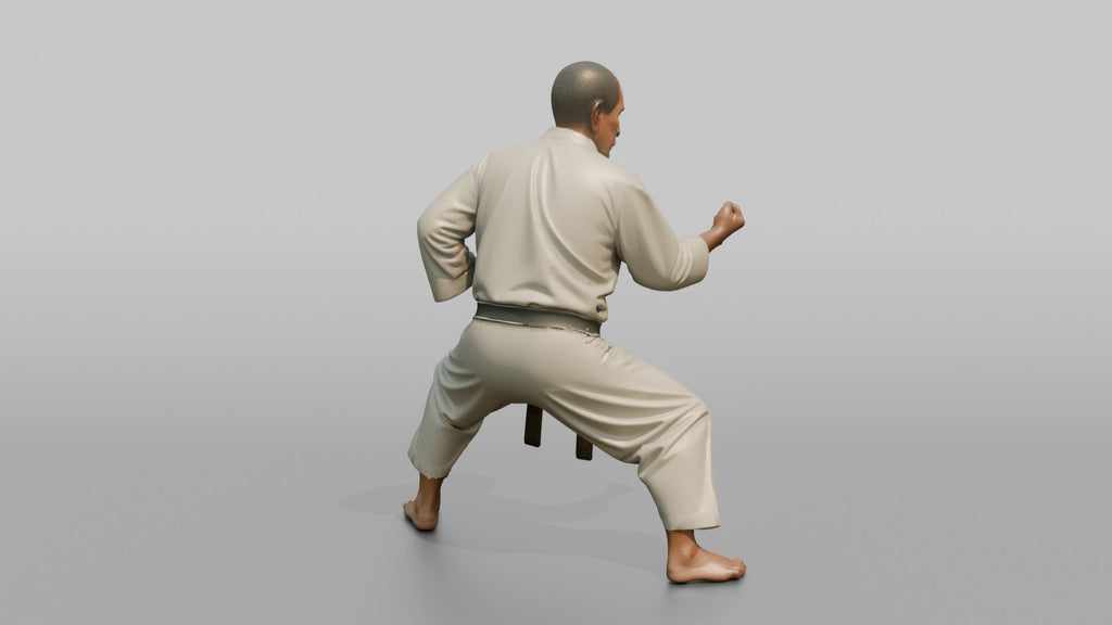 Karate Master Cat Stance