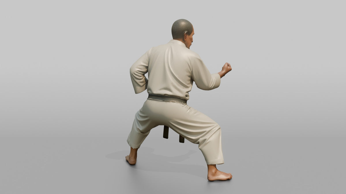 Karate Master Cat Stance - 3D character model, view 3