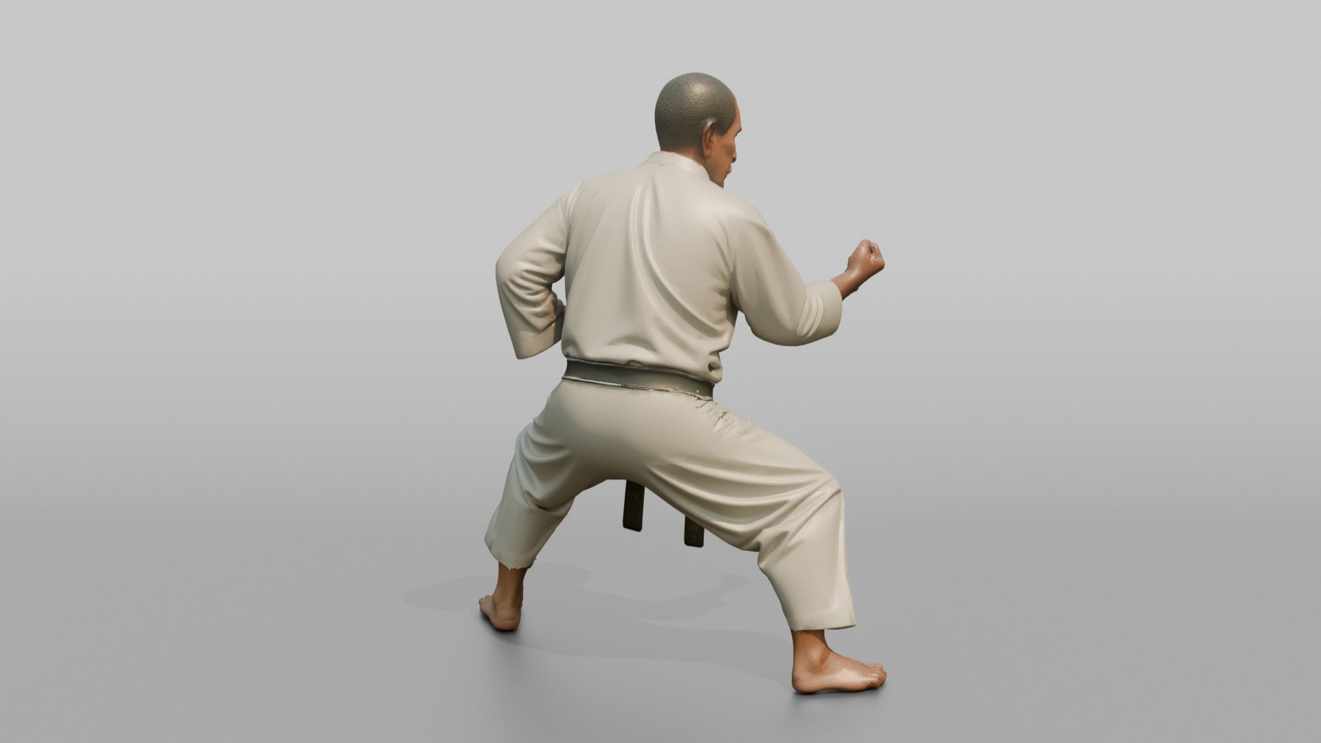 Karate Master Cat Stance