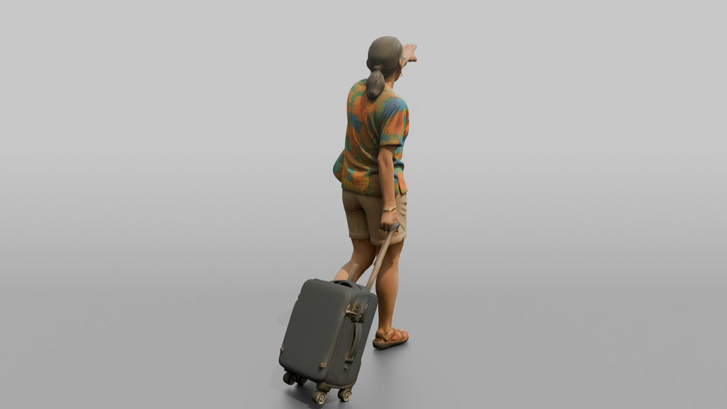 Traveler Pointing Toward The Gate