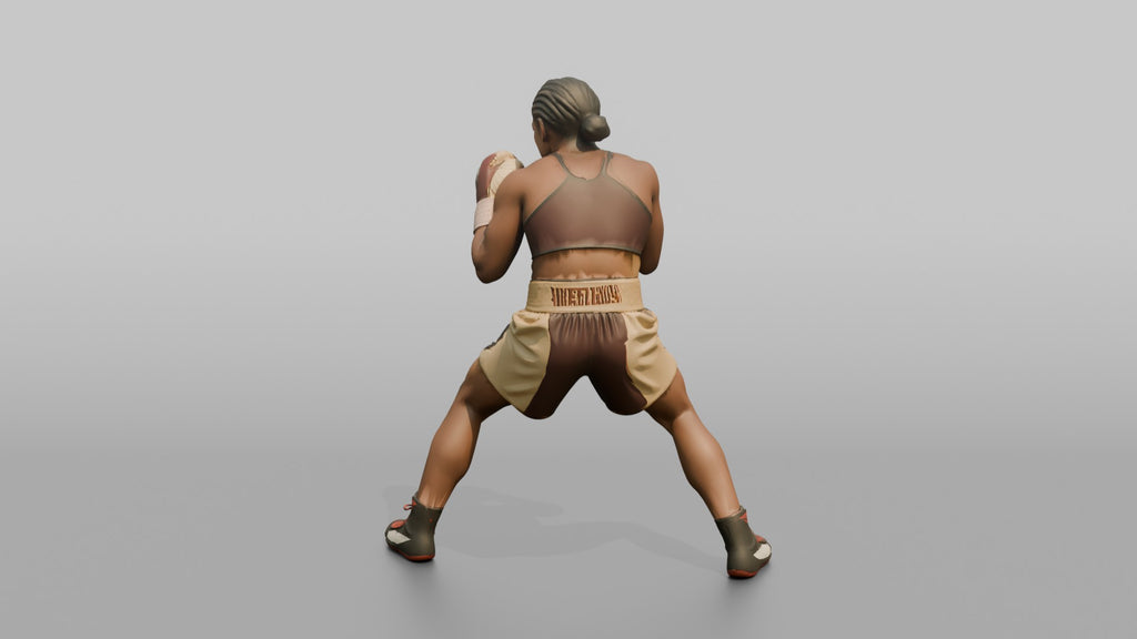 Boxer Heavy Body Hook