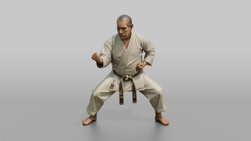 Karate Master Cat Stance