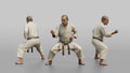 Karate Master Cat Stance