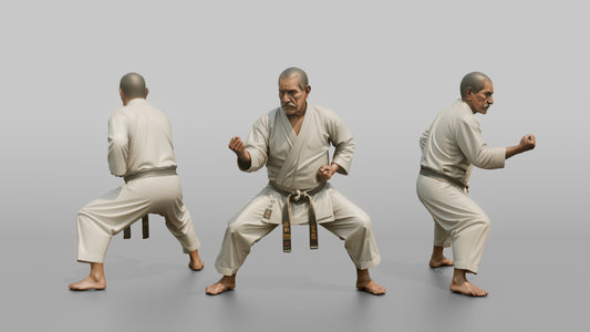 Karate Master Cat Stance