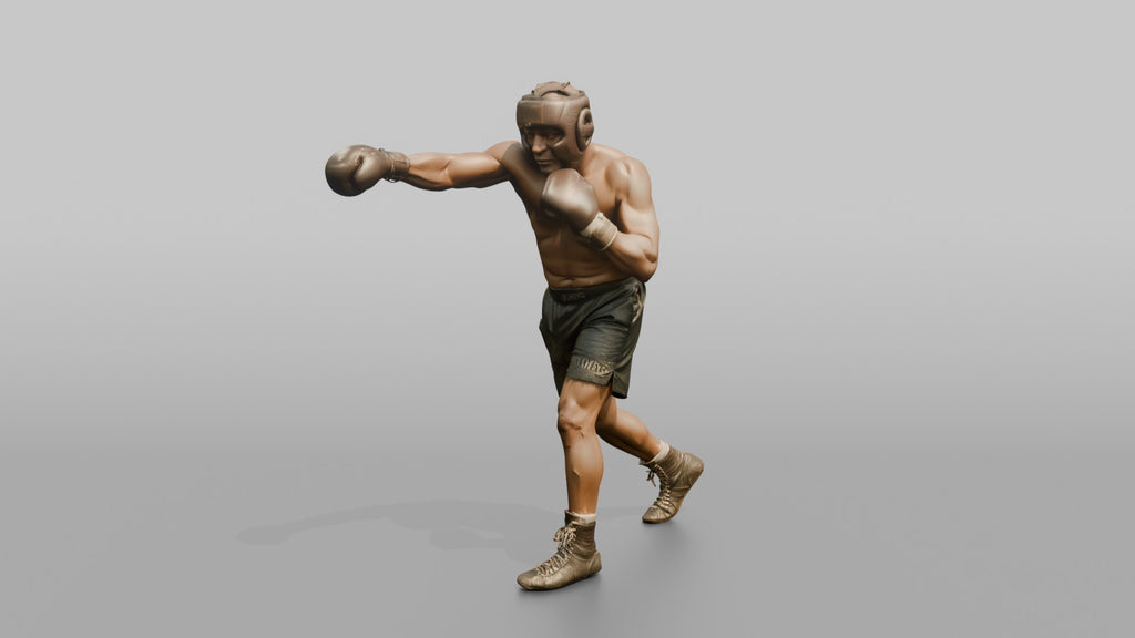 Boxer Measured Left Jab