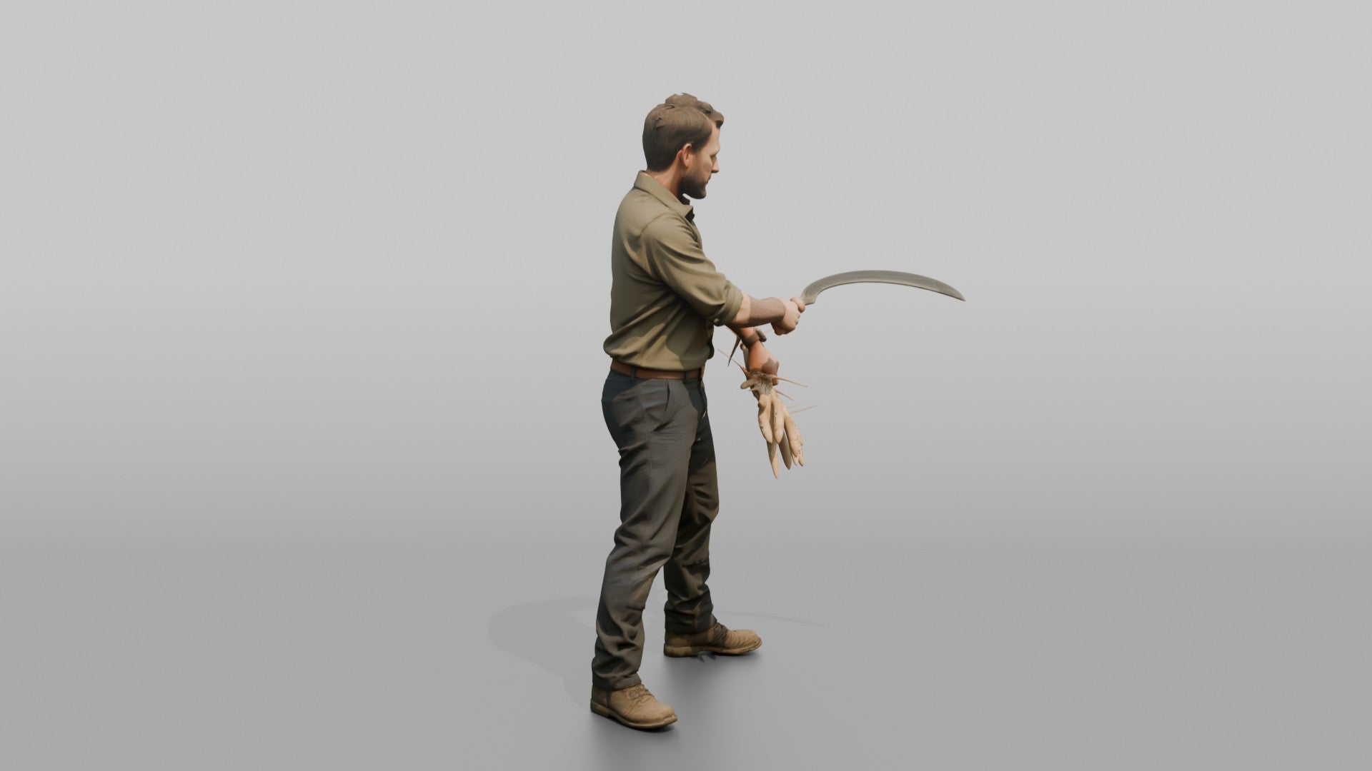 Farmer Slicing Wheat Stalks Hand Sickle