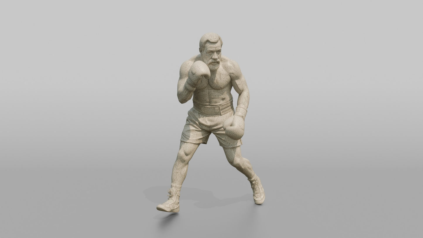 Boxer Resetting Stance with Shuffle Step