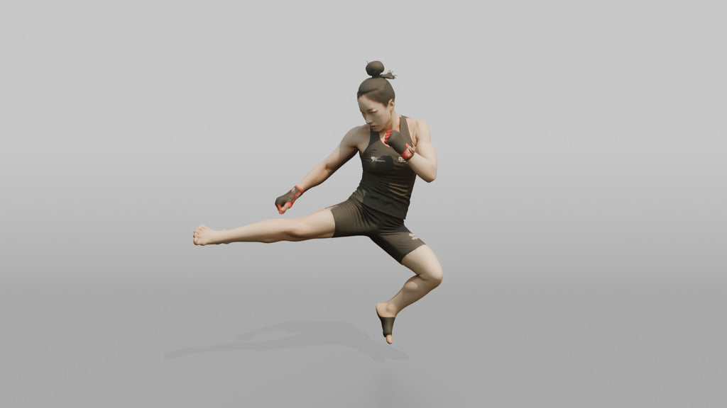 Taekwondo Fighter Jumping Spinning Hook Kick