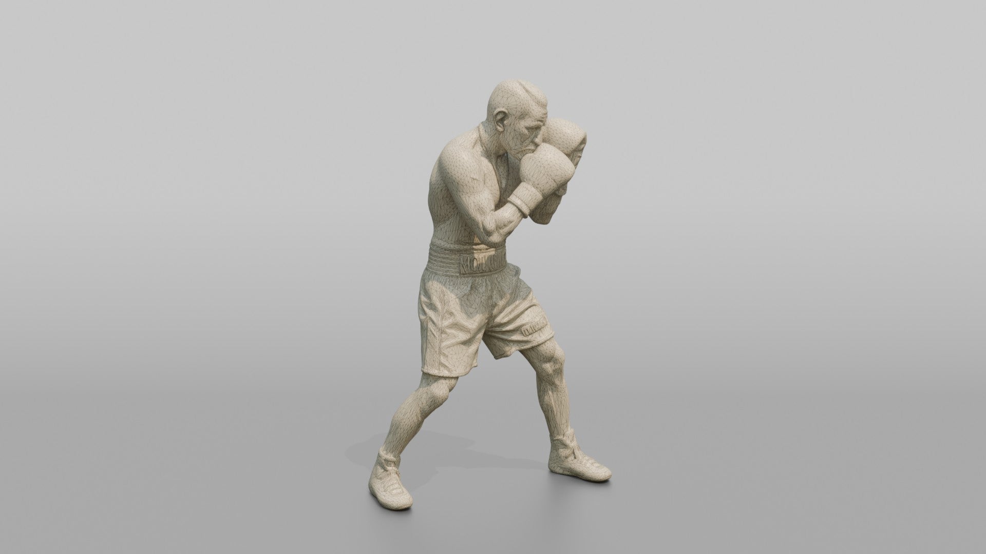 Boxer Tight High-guard Defense Position