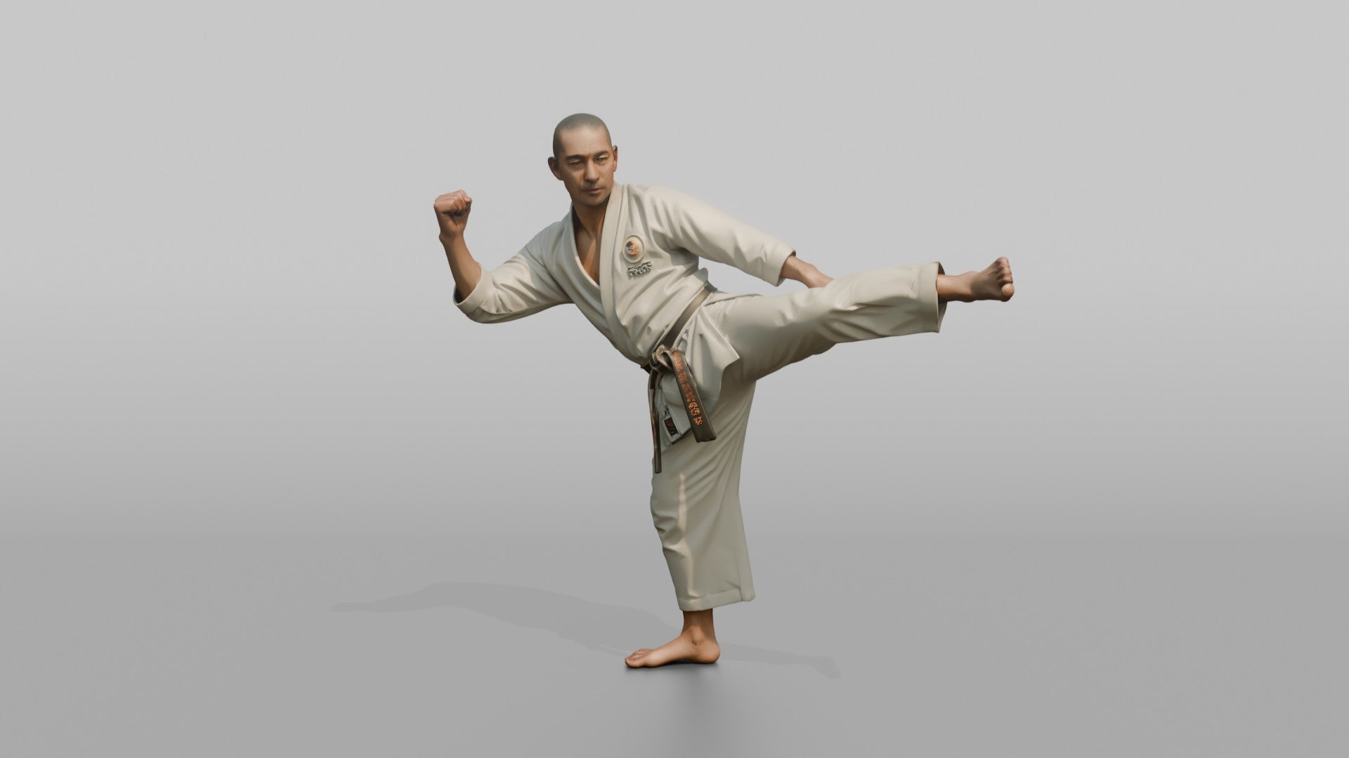 Karate Fighter Spinning Back Kick