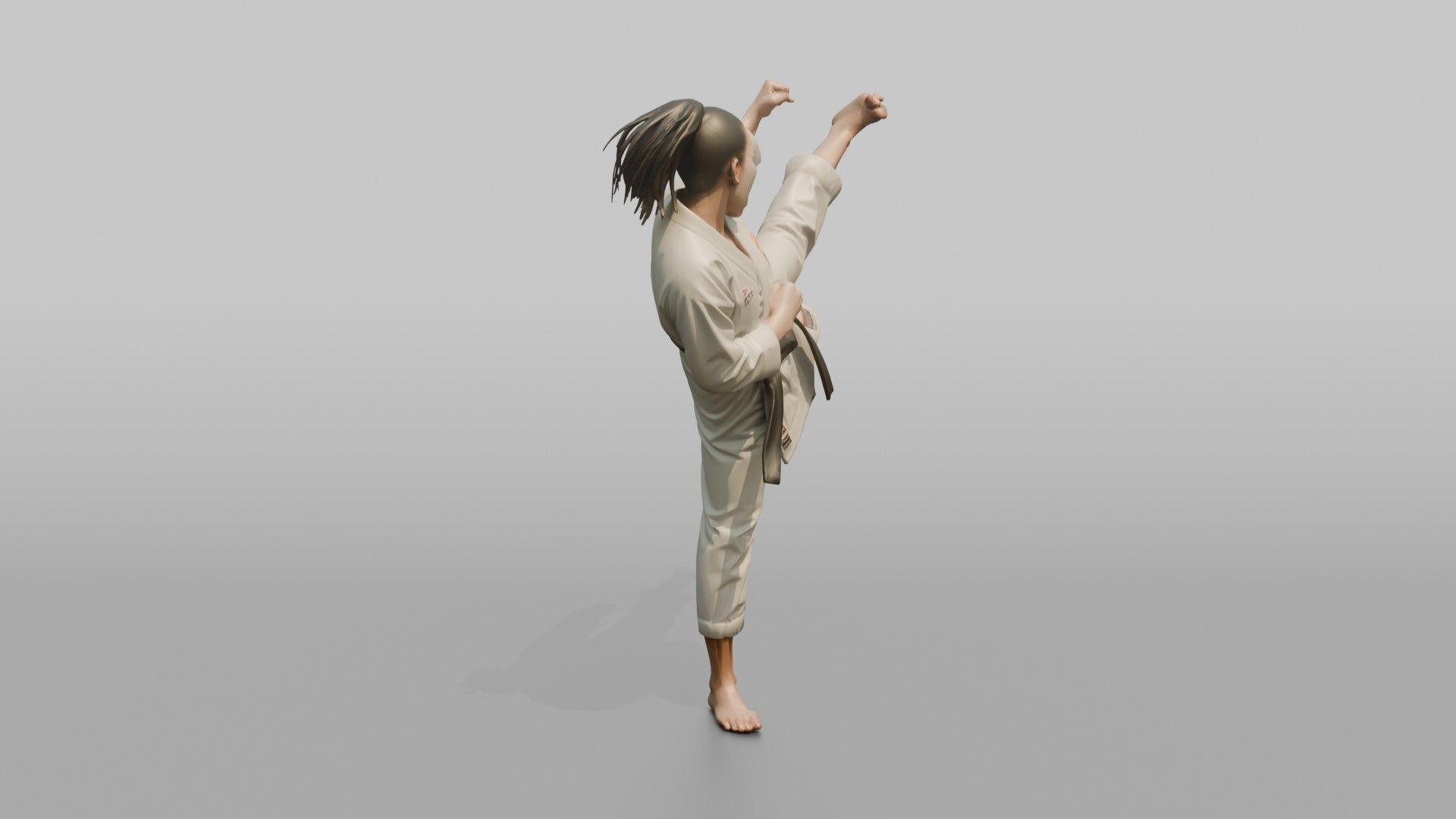Karate Fighter High Snap Kick