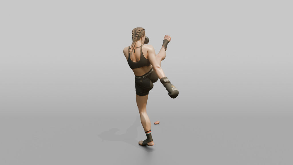 Kickboxer High Front Push Kick