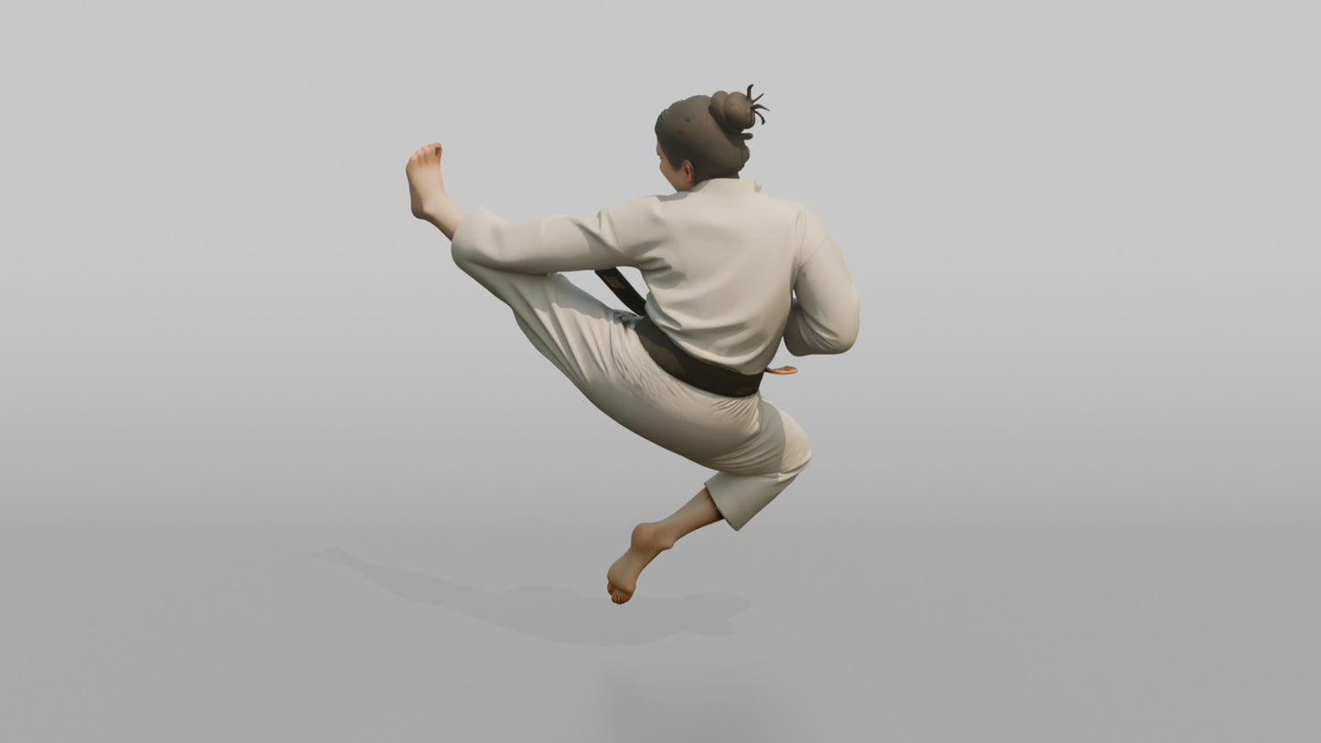 Karate Fighter Double Front Kick