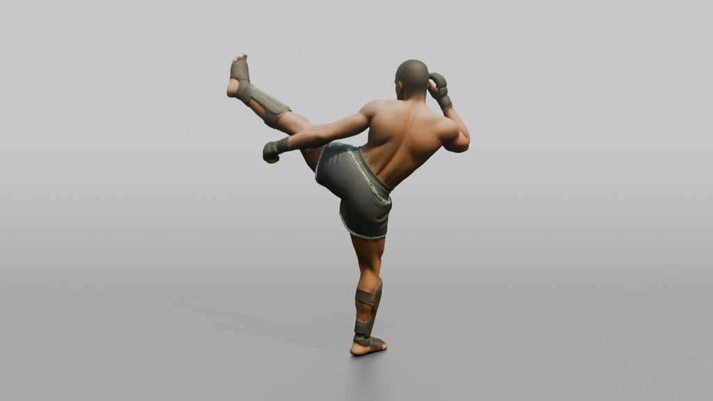 Kickboxer High Roundhouse Head Kick