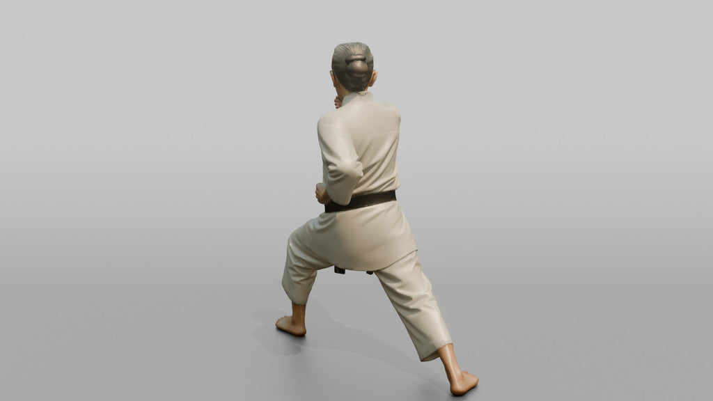 Karate Fighter Precise Spear-hand Strike