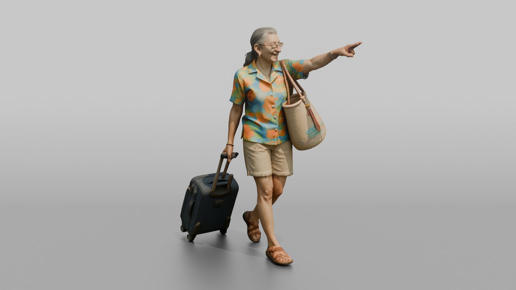 Traveler Pointing Toward The Gate